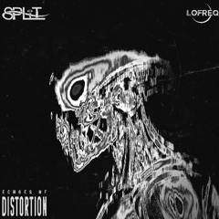 SPLiT - Distorted Waves
