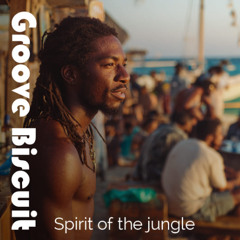 Groove Biscuit - Spirit of the jungle