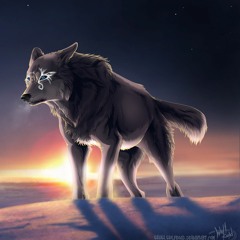 The New Horizon