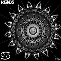 Pendulum - Nothing For Free (VENUS Remix)