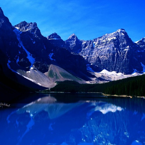 ENLILAC-FROZEN FERN (Z-MAN REMIX)PREVIEW