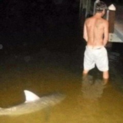 i dont know why i exist