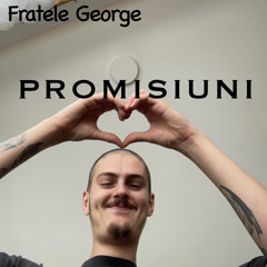 Promisiuni