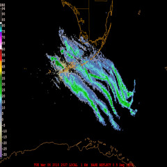 SHAMGOD MEETS THE WIZARD