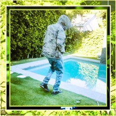 WM🦆#1032🦚🌺🦜🌾🎋🌿🪿🪺🦩🪷🦤
