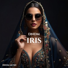 DNDM - Iris (Original Mix)