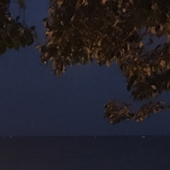 Another Sleepless Night