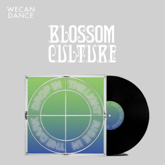 Blossom Culture x WECANDANCE Festival (10.08.2024)