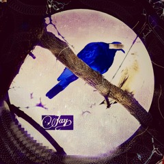 pHIlos - Jay .