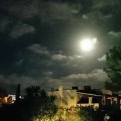 the light of the moon