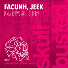 Facunh, Jeek - Disgruuv' (Original Mix)