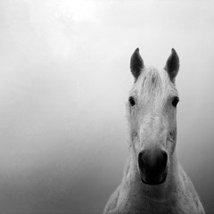 I'm so Hungry i could eat a ...