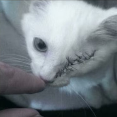 страсть к курению