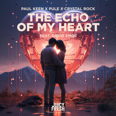 The Echo of My Heart (feat. David Emde)