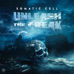 Unleash the Freak (Original Mix)