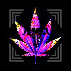 What Does Your Bass Look Like