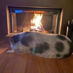 Pas vue Pas pris.mp3