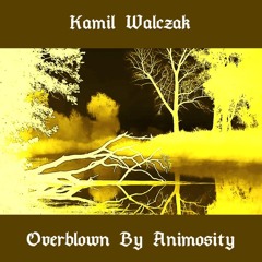 Kamil Walczak (feat. Wojciech Makowski) - EMPTY ROOM