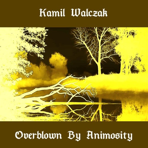 Kamil Walczak (feat. Wojciech Makowski) - EMPTY ROOM