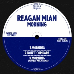 HSM PREMIERE | Reagan Mian - Morning (Alfredo Ávila Remix) [White Deer Records]