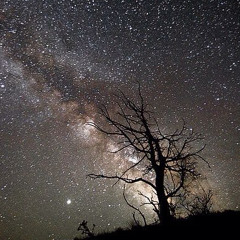 Stars(ft ypn.jordan)prod.bwser✨💫