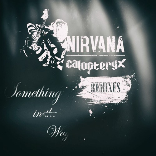 Nirvana - Something in the Way (Calopteryx remix)