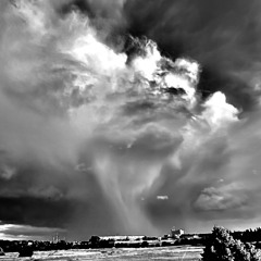 New Wave - It’s Lining Up