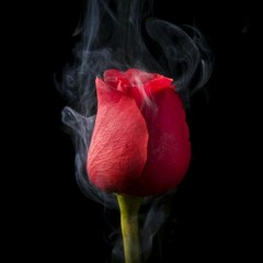 CLOSING PARTY 2021 [ EZZA JUNIOR x AULIA WIRZHOL ] UPHEE #EXCLUSIVE VVIP