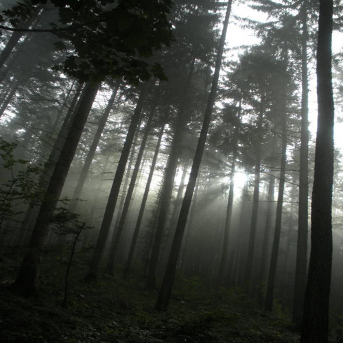 Another Way To Dirty Heart