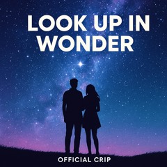 Look Up In Wonder
