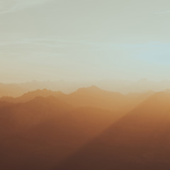 Morning Light