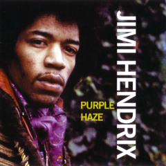 The Jimi Hendrix Experience - Purple Haze (EDM Cover)