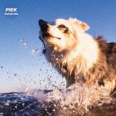 PREMIERE : PIEK - So High (Feat. Jim Hast)