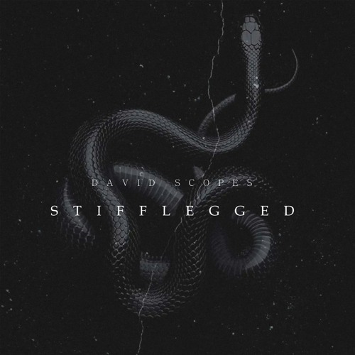 Stifflegged (Original Mix)