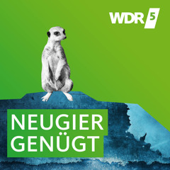 Waldbaden gegen den Stress WDR 5 Neugier genügt