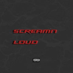 SCREAM'N LOUD(Prod.Liphter)