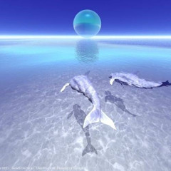 aeoxve - wok up ninjas like me