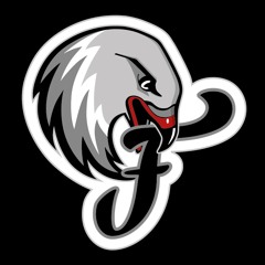 Nürnberg Falcons - Der Podcast #29 Playoff Preview ProA 2023
