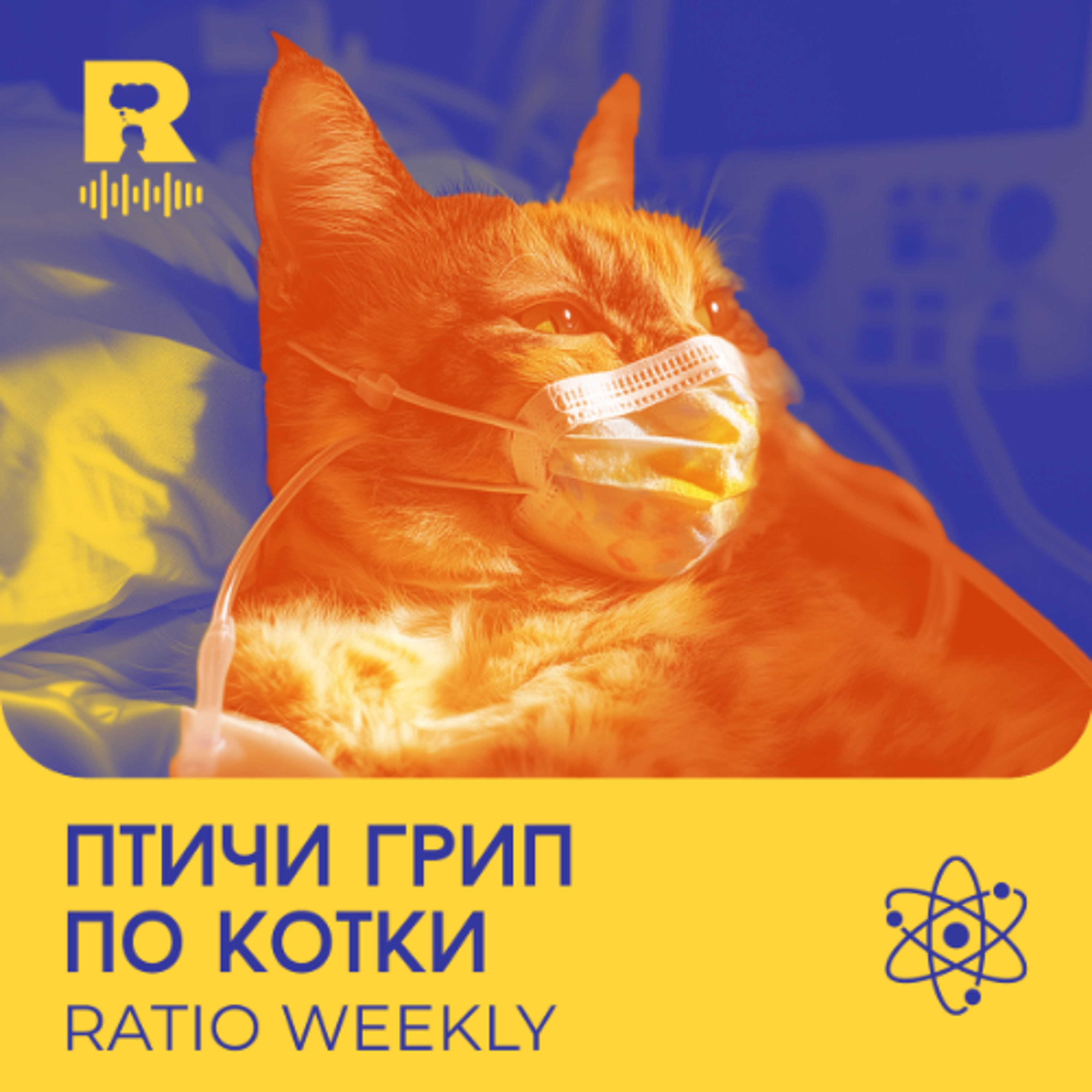 Ratio Podcast