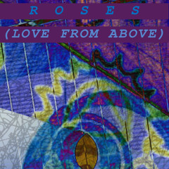 roses (love from above)