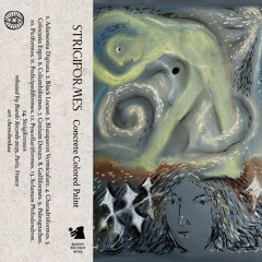 PREMIERE | Concrete Colored Paint - Black Locust