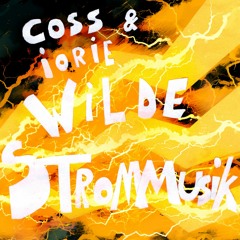 Coss & Iorie - Wilde Strommusik