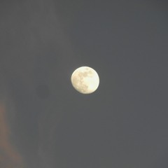 Frammenti Lunari
