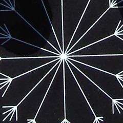 Patch1 with Noise v8 and the Monotropa distortion