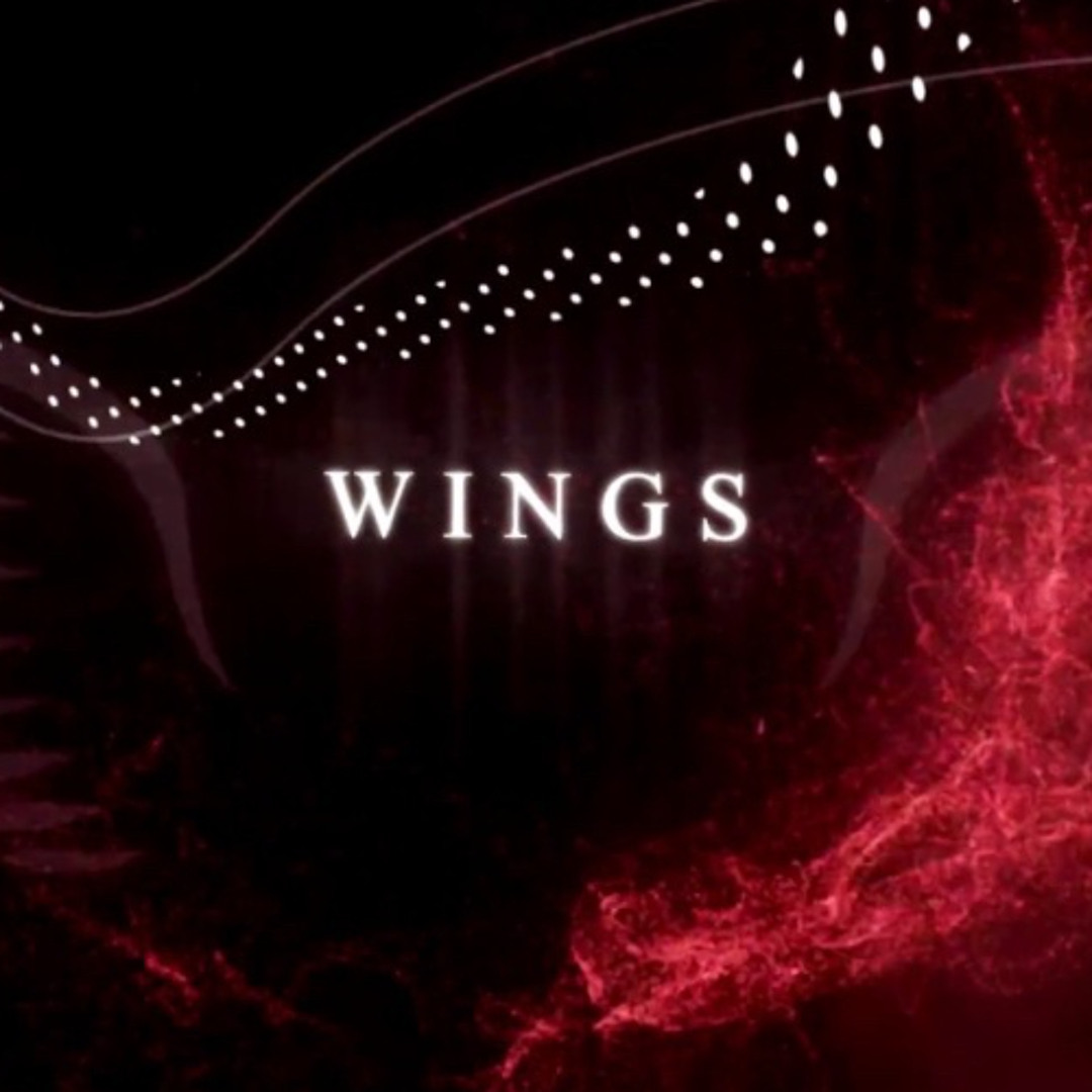 Night Wings Ep.3