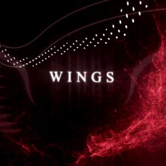 Night Wings Ep.3
