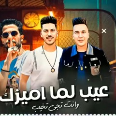 احمد سمير حميده | طارق شئلشه | عيب لما اميزك - مع عادل صانوه