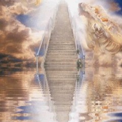 Rain Check - Medicine