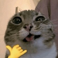 djaheem & kinchwin stuntin prod xxyymmtt 😜🤙