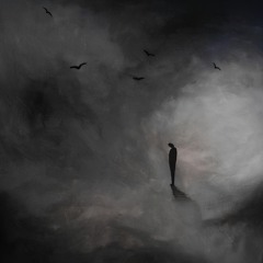 No Fear